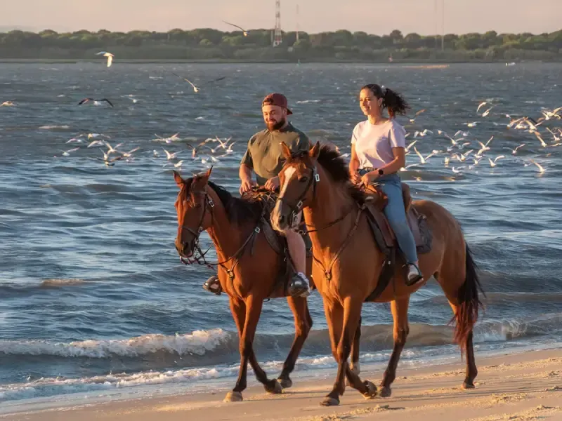 Passeio a cavalo privado ao pôr do sol na praia com tapas e lembrança. - Main