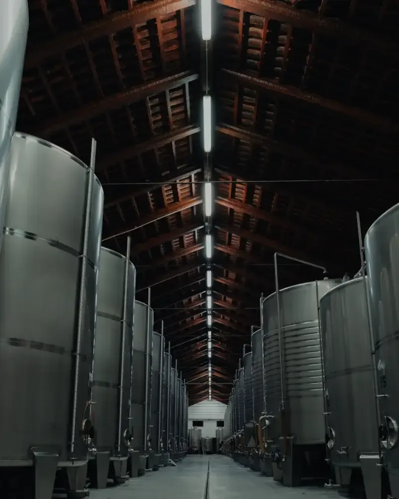 image 5 - Almiara Wine Tasting