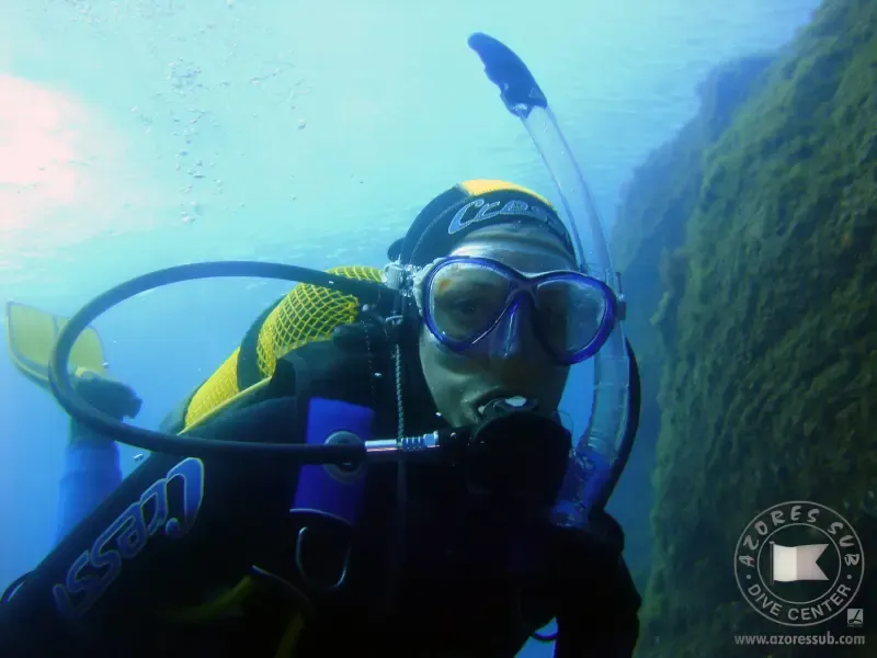 image 4 - Experimente mergulhar em redor do Ilhéu Vila Franca do Campo, nos Açores.