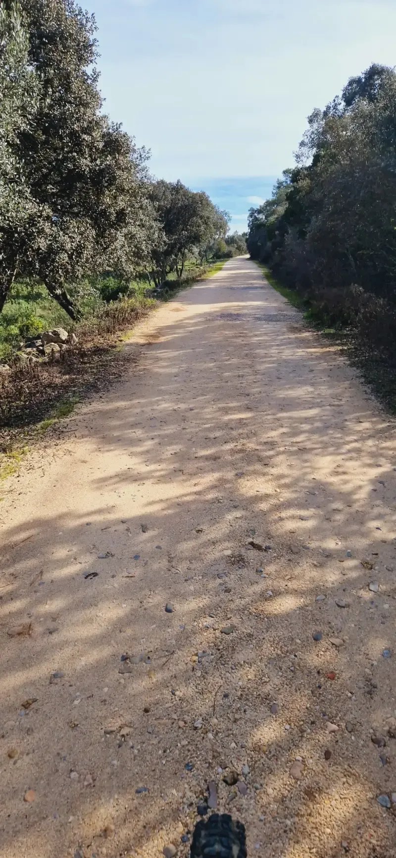 image 5 - Passeio de E-Bike: Fátima e Pegadas Jurássicas Parque Natural da Serra de Aire