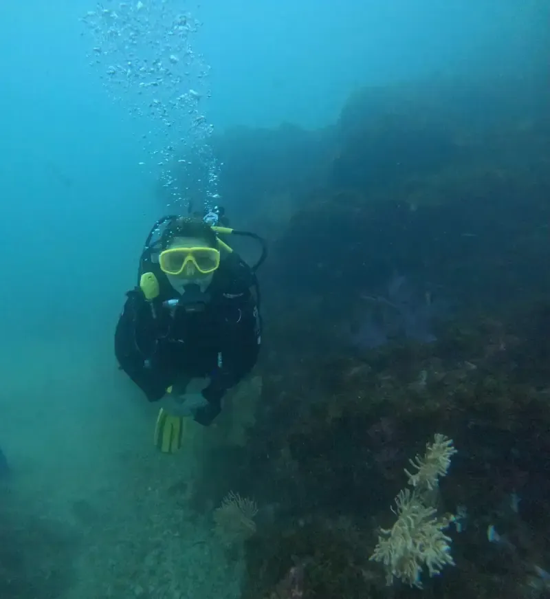 Become a Certified Open Water Diver - Your Underwater Adventure Starts Here! - Main