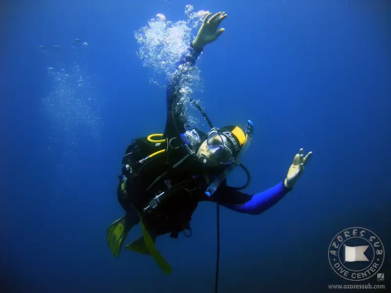 Experimente mergulhar em redor do Ilhéu Vila Franca do Campo, nos Açores. - Main