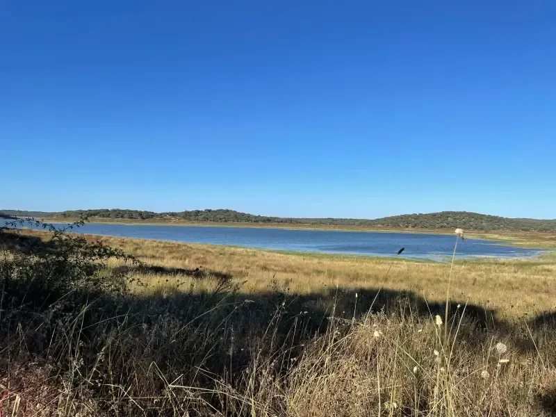 image 4 - Évora: Half-day in dam with Pic nic and stand-up Paddle