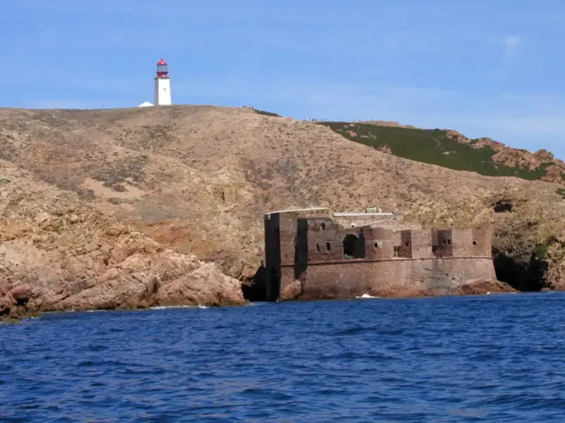 image 5 - Double Snorkeling Trip in Berlengas, Peniche