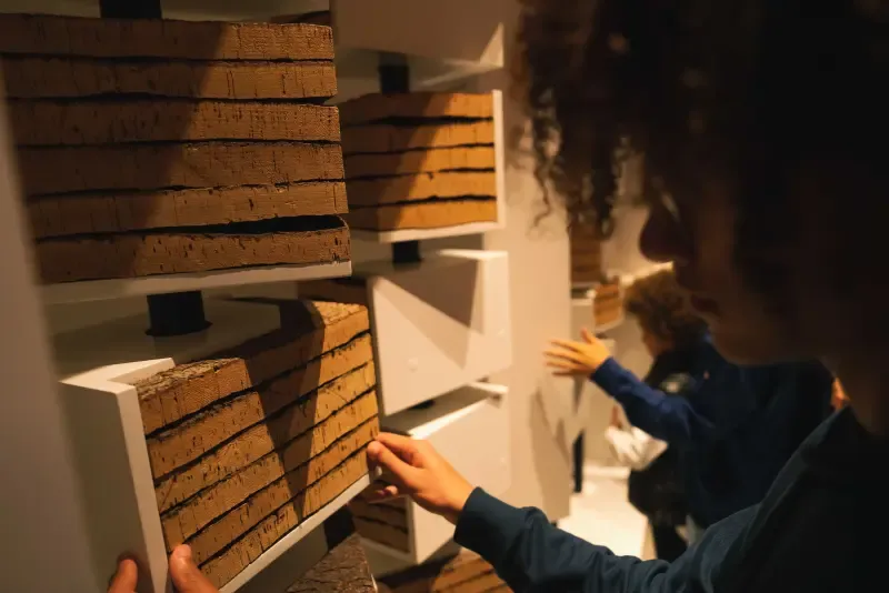 image 5 - Cork Museum - Entry Ticket at WOW