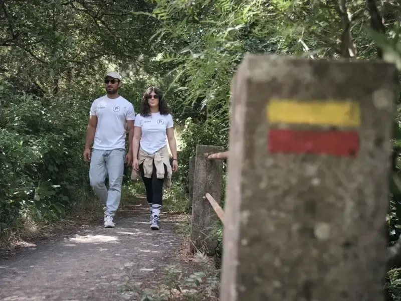 image 5 - Hikings in Nature