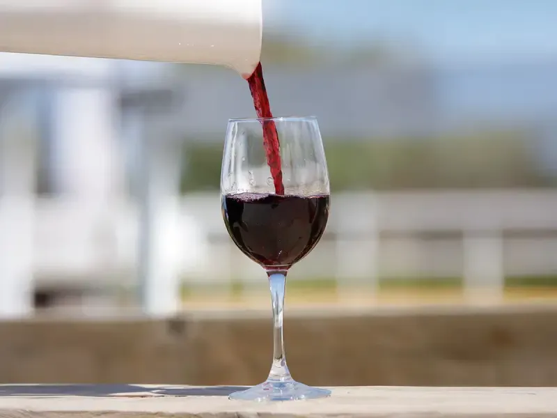 image 5 - Private Beach Horseback Ride Experience: Enjoy Drinks & Capture Memories