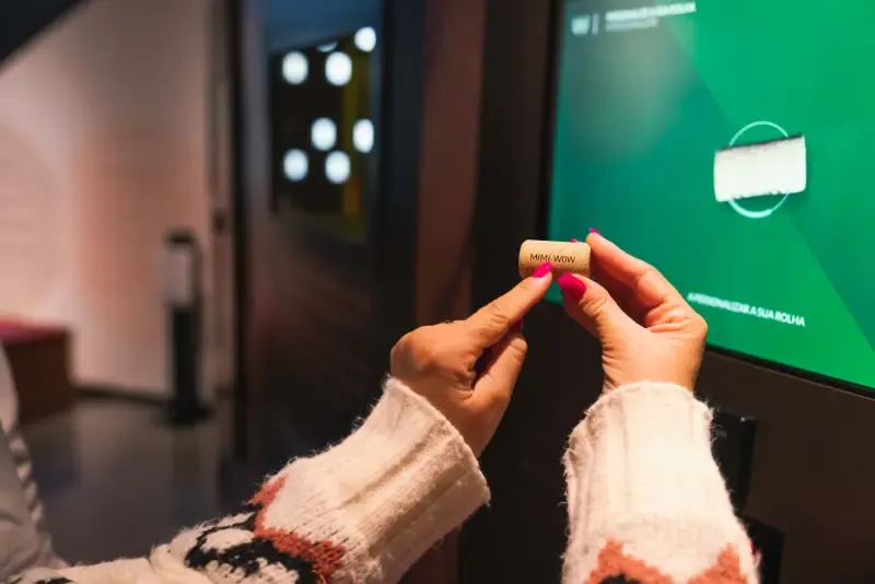 Cork Museum - Entry Ticket at WOW - 3