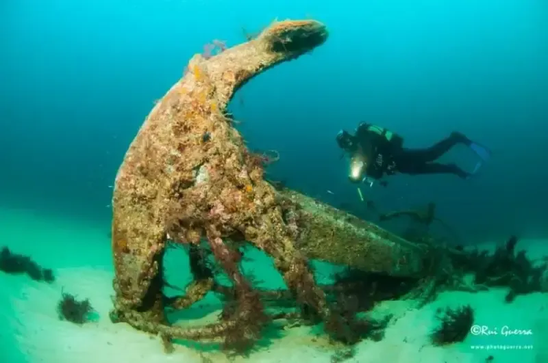 Mergulho duplo com cilindro a partir de Peniche - 3