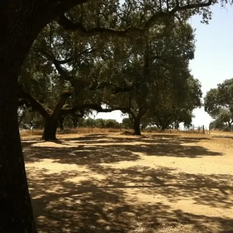 Évora: Half-day in dam with Pic nic and stand-up Paddle - 2