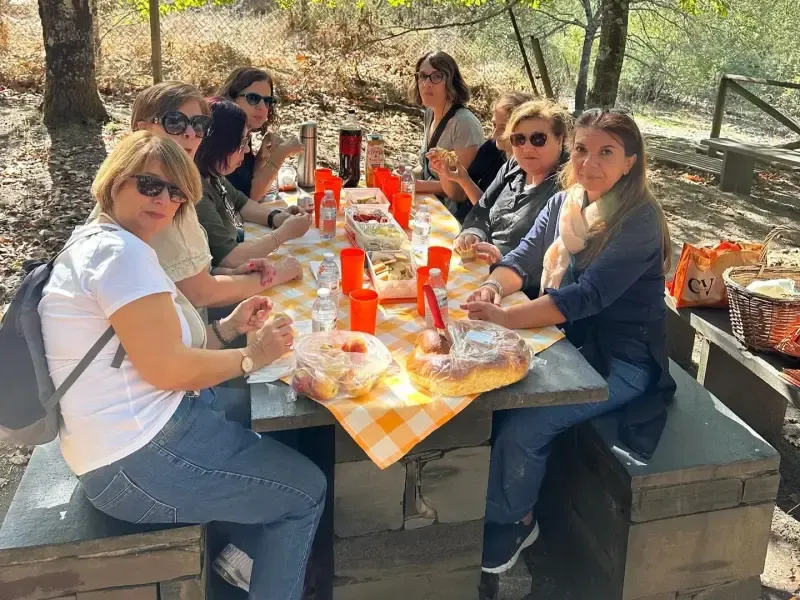 image 5 - Do Porto: Jeep Tour Vale do Paiva + Ponte Suspensa 516 Arouca