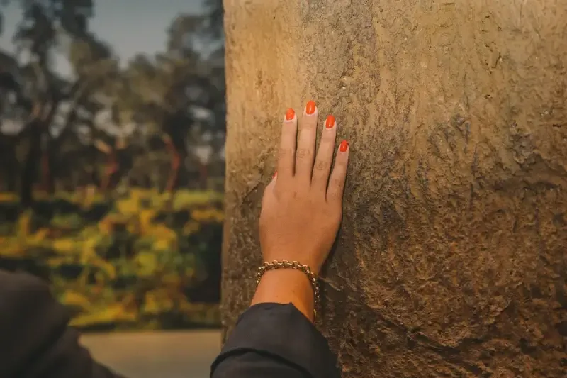 image 5 - Bilhete de 2 dias para o Distrito Cultural WOW - Viva tudo com um bilhete de 2 dias