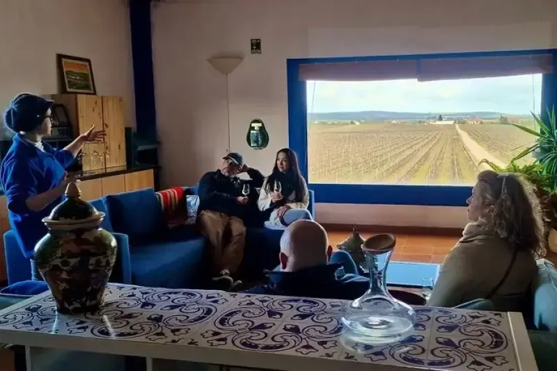 image 5 - Private Full Day Évora and Alentejo Wine Tour