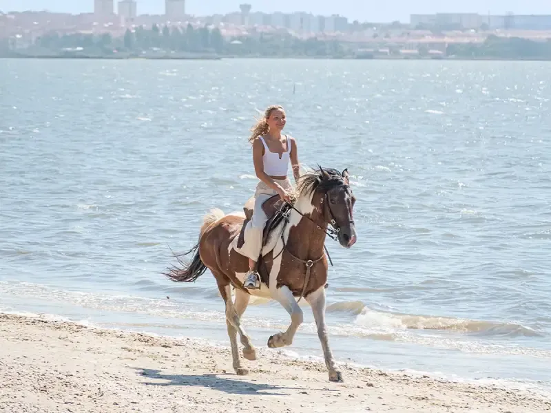 Private Beach Horseback Ride Experience: Enjoy Drinks & Capture Memories - Main
