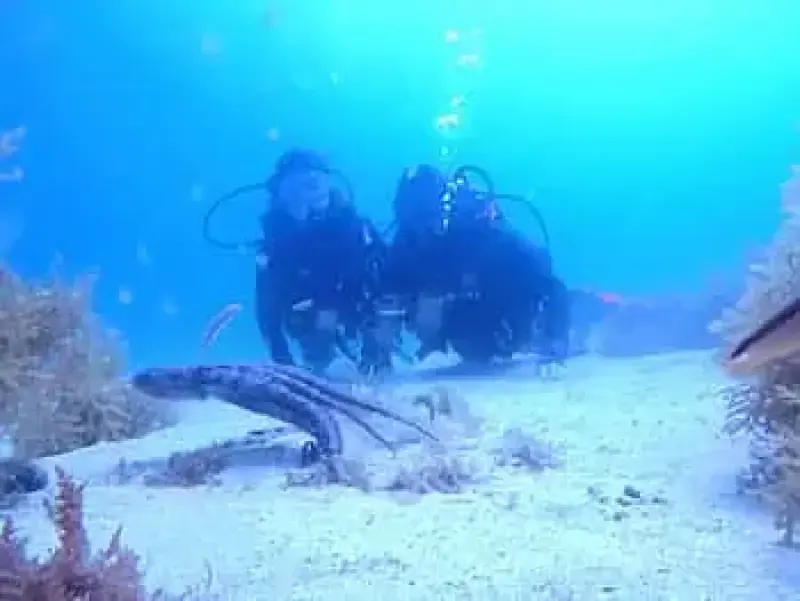 image 5 - Meu primeiro mergulho com cilindro no oceano, partindo da Ilha de Santa Maria - Açores.