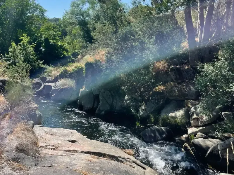 image 4 - Hikings in Nature