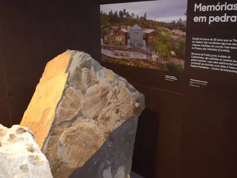 image 4 - Visita guiada al Centro Histórico del Geoparque de Arouca