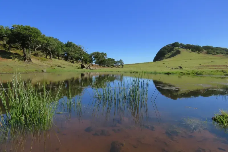 Piscinas do Noroeste e Fanal - Uma aventura épica de um dia inteiro em um jipe aberto - Main