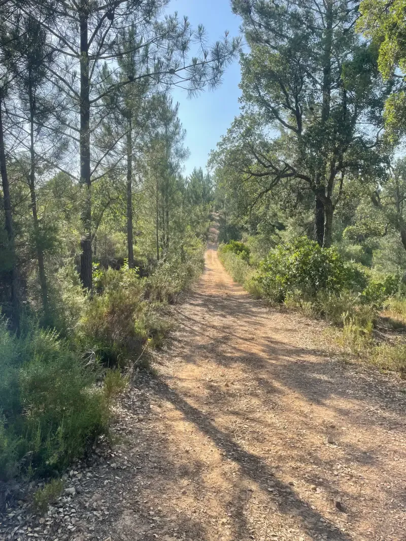 image 4 - Montemor-o-Novo: Caminhada Guiada ao Megalítico dos Almendres
