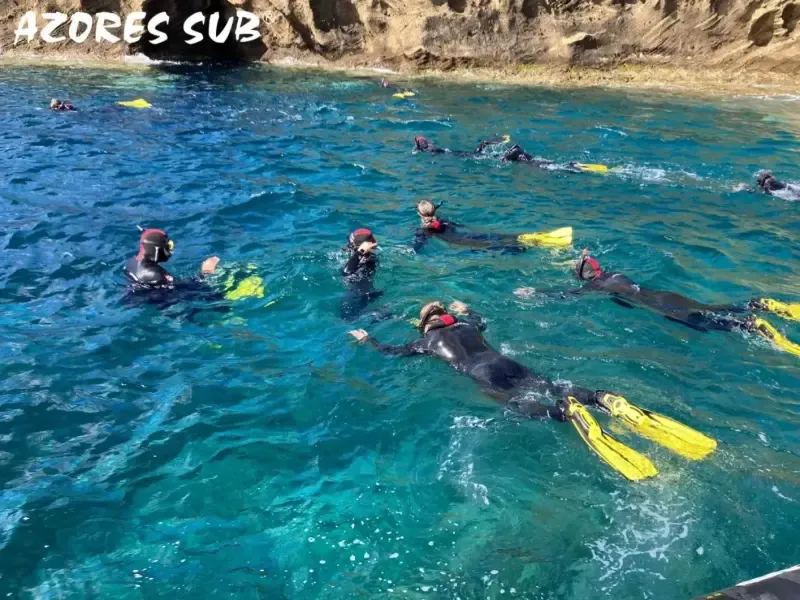 SNORKELING AROUND VILA FRANCA DO CAMPO ISLET IN AZORES - Main