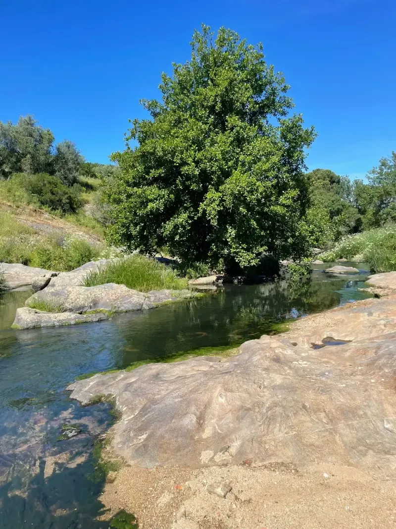 Montemor-o-Novo: Excursão guiada a pé com almoço incluído - 2