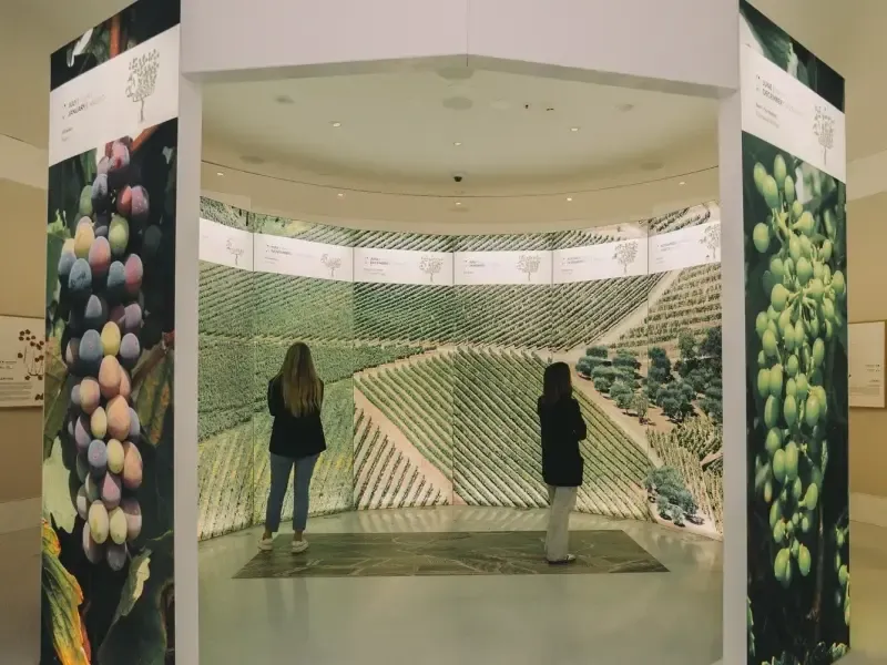 Ingresso para a Experiência do Vinho e Degustação no WOW - Main