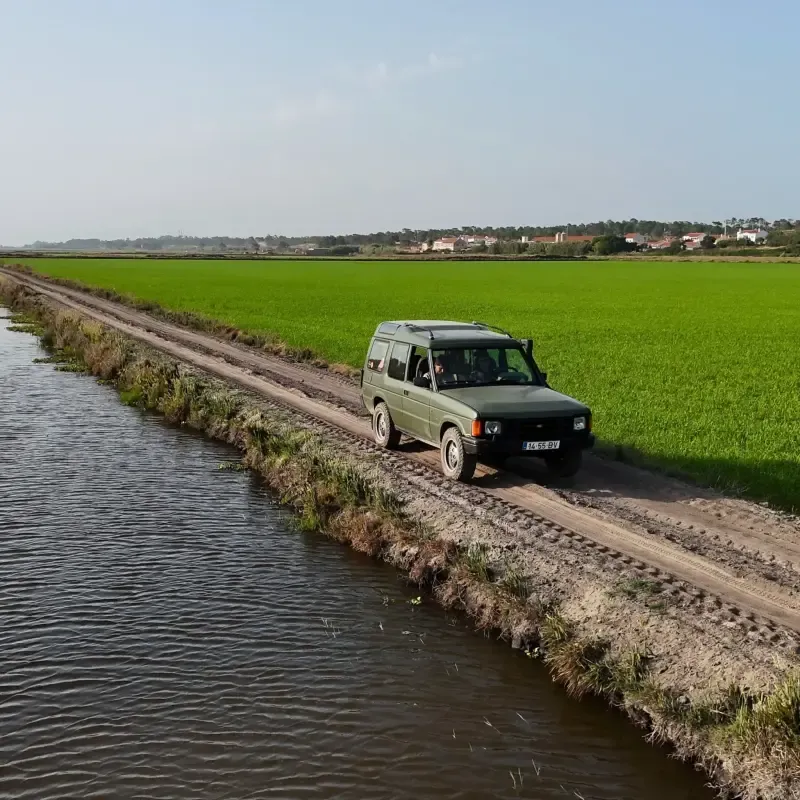 image 4 - Golden Hour Escape