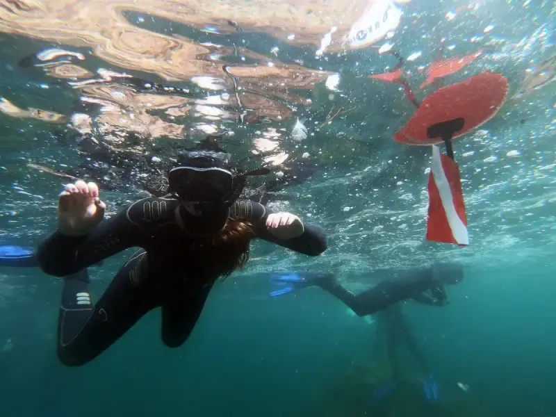 Double Snorkeling Trip in Berlengas, Peniche - Main