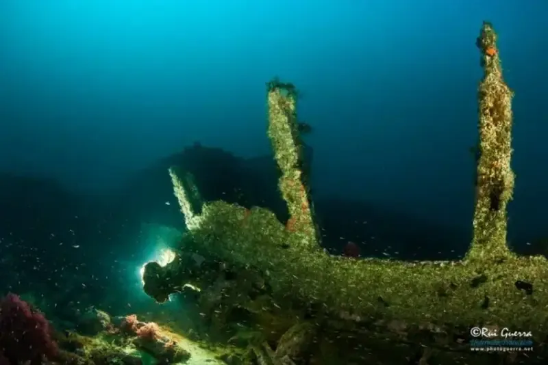 Mergulho duplo com cilindro a partir de Peniche - 2