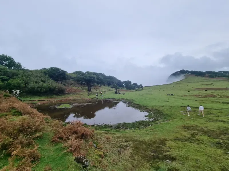 Jeep 4x4 Privado Dia Inteiro Madeira, Porto Moniz (Até 5 Pessoas) - 3
