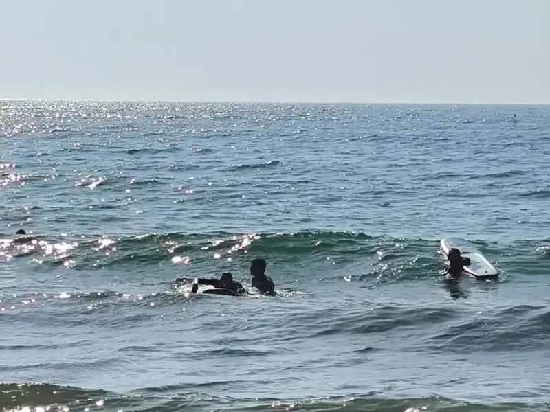 image 4 - Surfing Lessons in Sesimbra: Catch the Perfect Wave with Expert Guidance