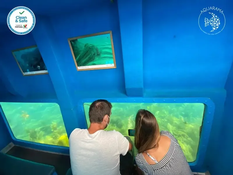 Passeio de barco com vista subaquática - Main