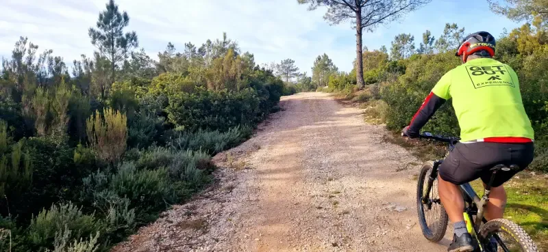 image 5 - FÁTIMA: CAVERNAS E TRADIÇÃO E-BIKE TOUR