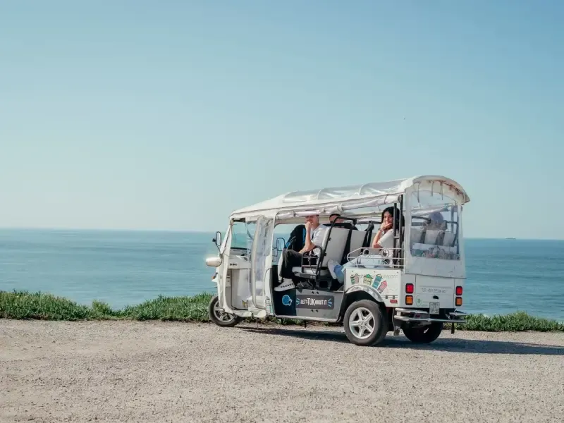 Tour Porto Tuk Tuk: Clérigos, Cénicos e Miradouros - 3H ou 4H - Main