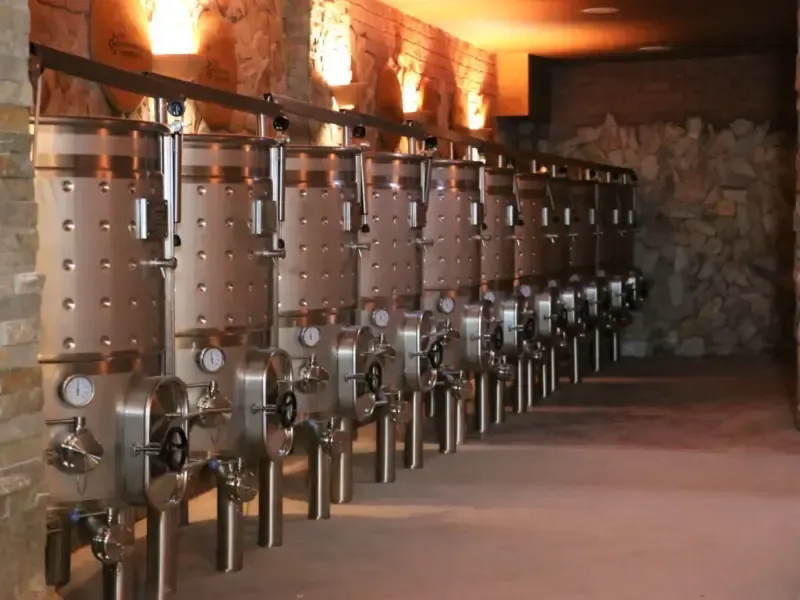 image 4 - Tour de Vinhos Gold - Grupo Aberto