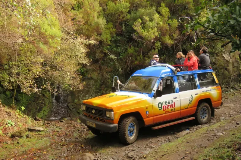image 4 - Piscinas do Noroeste e Fanal - Uma aventura épica de um dia inteiro em um jipe aberto