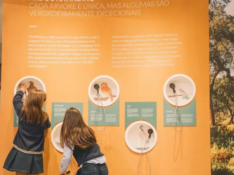 Cork Museum - Entry Ticket at WOW - Main