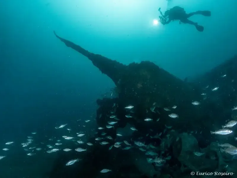 Dive the U-boat 1277 - the Most Iconic Dive in Portugal - Main