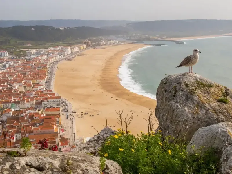 image 5 - A partir de Lisboa: Tour por Fátima, Óbidos e Nazaré