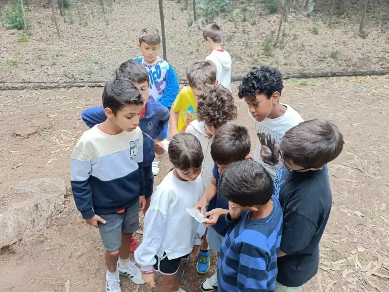 Caça ao Tesouro - Main