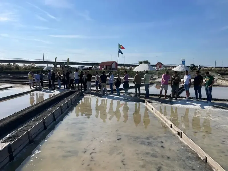 image 5 - Experiencia en las salinas