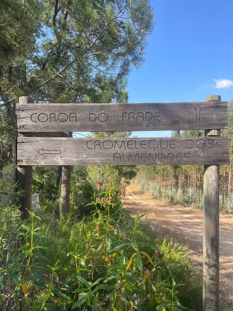Montemor-o-Novo: Caminhada Guiada ao Megalítico dos Almendres - 3