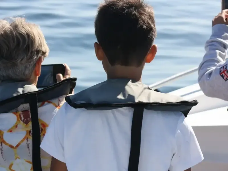 image 4 - Explore a observação de golfinhos com um biólogo marinho no Parque Marinho de Sesimbra.