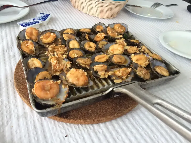 Morador local por um dia na Ilha Terceira - 2