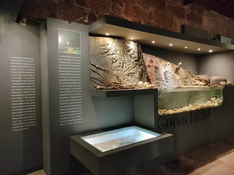 image 5 - Aldeias Históricas &amp; Retrato Cultural: Belmonte, Sortelha &amp; Castelo Novo