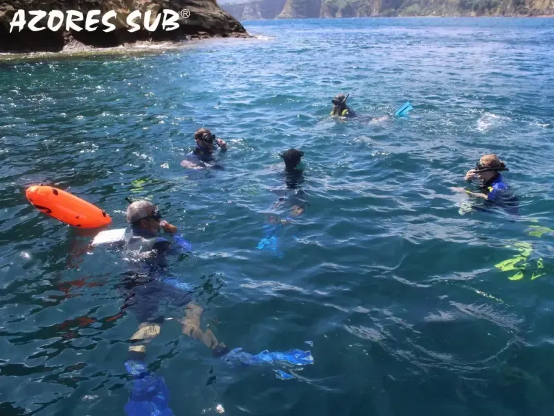 SNORKELING AROUND VILA FRANCA DO CAMPO ISLET IN AZORES - 2