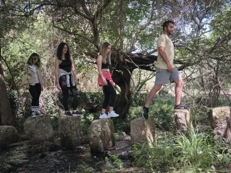 Hikings in Nature - 3