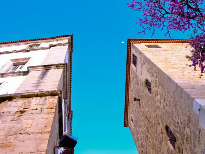 image 5 - Descubra a rica história de Coimbra: Visita guiada aos principais pontos turísticos
