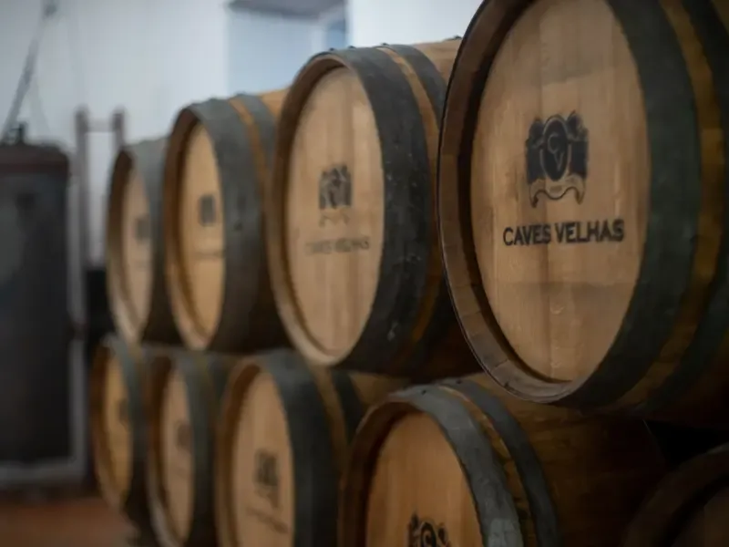 Disfrute de un maridaje gourmet de vino y queso en Quinta do Boição - 2