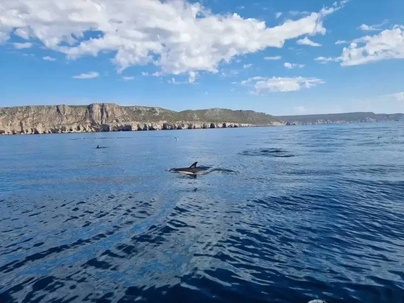 À descoberta das praias mais bonitas de Sesimbra - 2